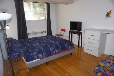 3 1/2 MONTREAL Centre Downtown À LOUER 995$/sem Meublé Tt inclus Image# 6