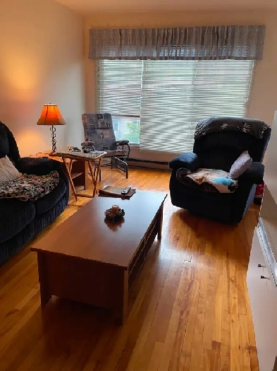 Superbe Grand 5 1/2 a louer Image# 1