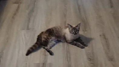 Loyer Campagne Image# 1