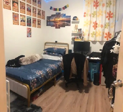 basement room for rent in Chinatown Image# 1