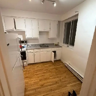 1 Bed 1 Bath Apartment Image# 1