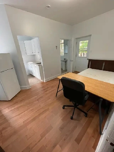 Appartements à louer Plateau Mont Royal Studio et 4 1/2 Image# 1