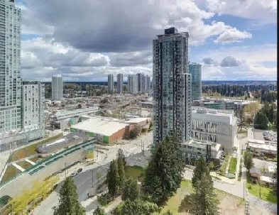Condo for rent Image# 6