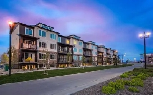 Room available for Rent in Bridgwater Image# 1