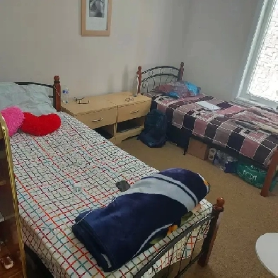 ⭐Clean Shared Room(Girl) in Brampton⭐ Image# 1
