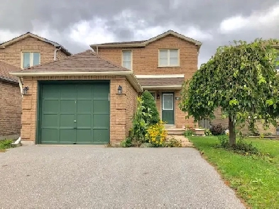 3 1 Bedroom House in Barrie   Finished Basement Image# 1