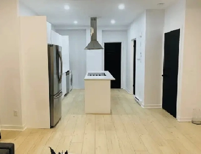 3.5 a louer acceptant les animaux a 5 min. du metro Verdun Image# 1