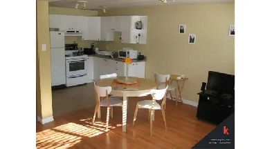 Lasalle, 3 1/2 tout rénové, chauffé, éclairé, climatisé Image# 1