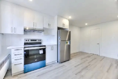 4 1/2 (1850$) 3 1/2 (1400$) à louer pour Juillet et Aout Image# 1