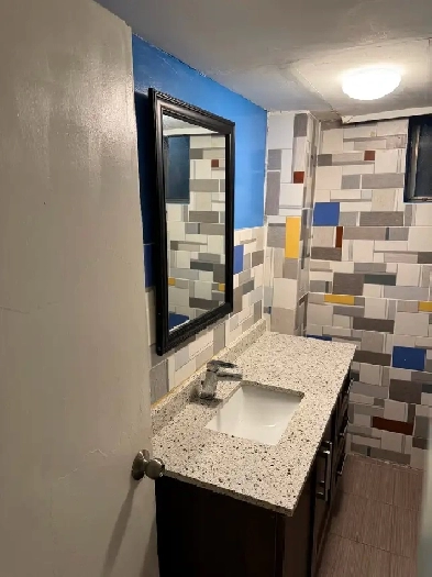 1 bedroom basement Image# 14