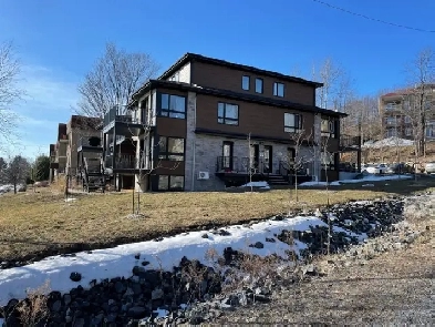 Appartement style Condo - Bromont Image# 8