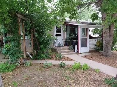 Pet friendly 2 bedroom main floor own laundry shared backyard Image# 6
