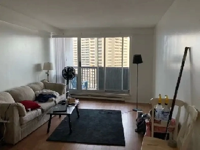 Spacious 3-bedroom 2-bath apartment near Carleton U. for rent Image# 1