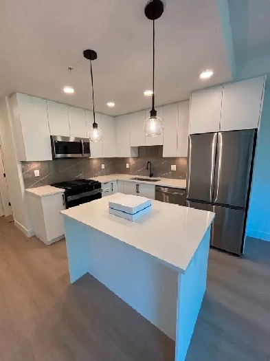 PENTHOUSE FOR RENT | 1 BED 2 BATH Image# 4