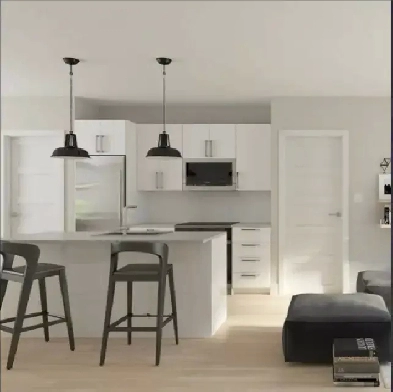 Sublime condo (4 1/2) entre Parc Lafontaine et Avenue Mont Royal Image# 1