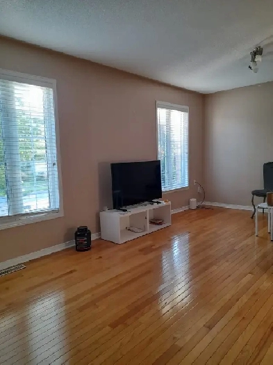 Room for Rent Image# 1