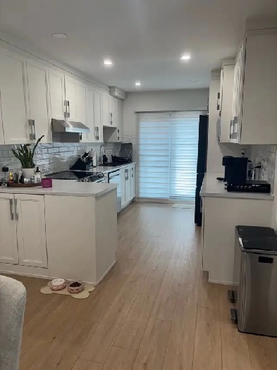 2 Beds 1 Bath Apartment Image# 1