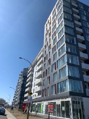 CONDO ROUGE    3 1/2    MONTREAL secteur Triangle Image# 4
