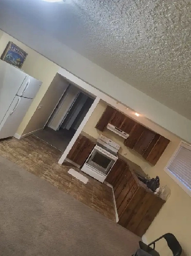 Basement for rent Image# 8