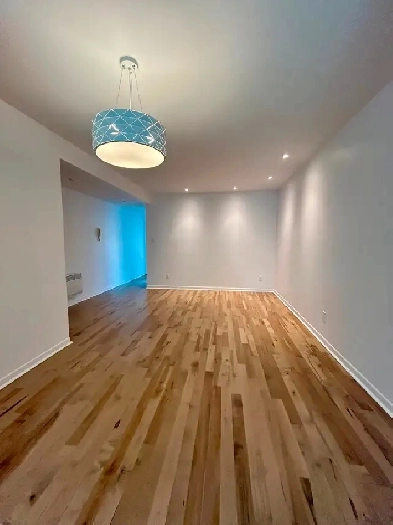 Magnifique 41/2 complètement renové dans Rosemont Image# 1