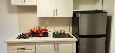 Toronto Downtown Bachelor Studio Apt Avaible Utility Inclusive Image# 1