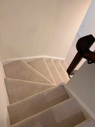 Brand New Basement for Rent