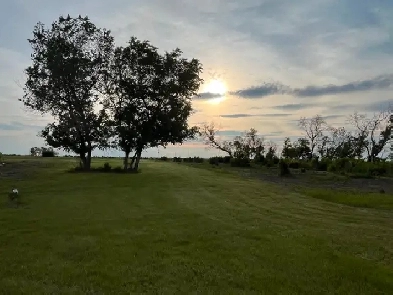 Private 12 acres at the end of a quiet road minutes fr Weyburn. Image# 2