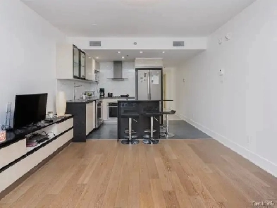 Furnished 2 Bedroom 2 Bathroom Apartment Image# 4