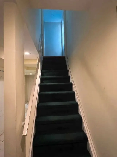1 bedroom basement for rent Image# 1