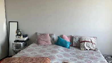 Looking for a female roommate on a sharing basis.The apartment Image# 1