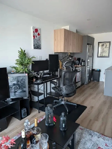 Appartement 3 1/2 - Laval - Montmorency Image# 1