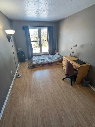 Move in today! Woodroffe/Majestic, 4 min to Algonquin. Image# 8