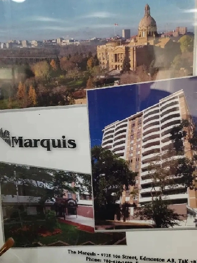 Large 1 Bdrm apartment - all utilities in, insuite laundry Image# 8