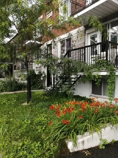 4 et demi haut de duplex à 5 mn du métro Cadillac Image# 1