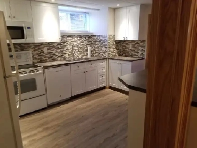 Basement Suite for Rent July 1 in NE Pineridge Image# 3