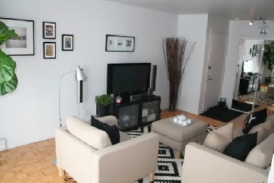 Opportunité rare 4 1/2 libre immédiatement - lieu paisible Image# 2