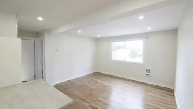 1 bedroom (  office) newly renovated - Winchester centre  - July Image# 3