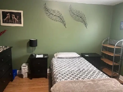 DARLINGTON OPG Plant 5 Mins To Room Available Immediately Image# 1