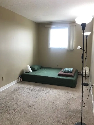 Room for rent Image# 3