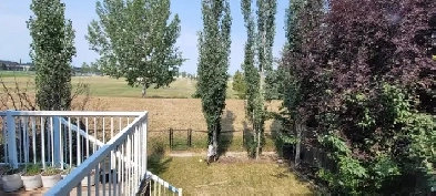 Full house for Rent: 4bed bonus rm/3.5bath/2 attached garage/AC Image# 6