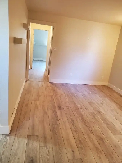 Bright 2 bdrm 1 bath with large fenced yard Image# 2