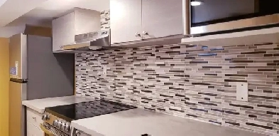 Room in basement for Rent in peaceful Midtown Image# 1