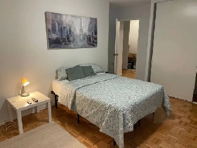 Comfortable room next to the Spadina Station for 1'280 CAD Image# 7