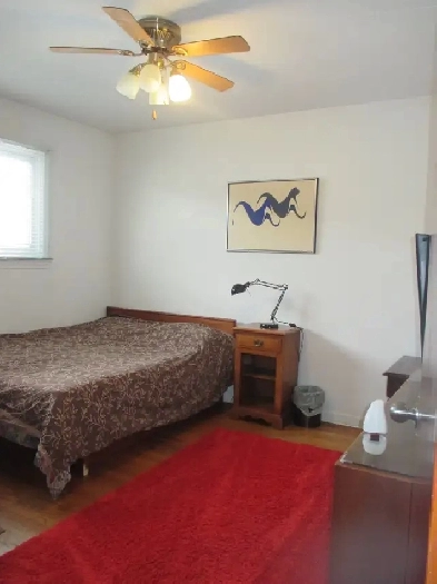 Very Clean Quiet Furnished Large Room Near Algonquin College ! Image# 3