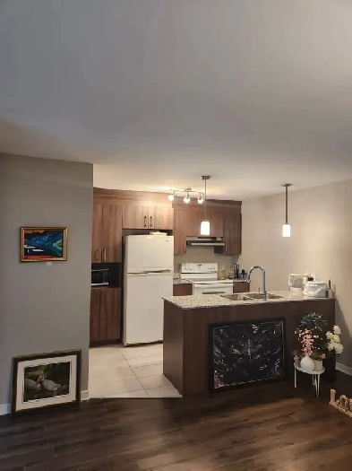 Magnifique condo 2 chambres secteur Plateau Image# 5
