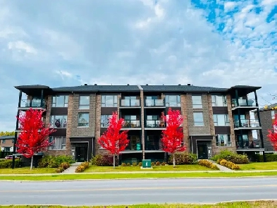 LUXUEUX 4 1/2 (condo)  SEPTEMBRE Image# 6