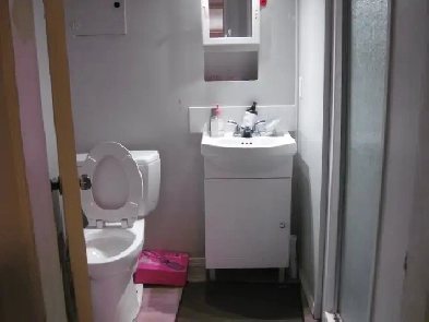 Nice basement suite on south side Image# 1