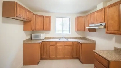 3.5 (1 chambre) rénové dans CôtedesNeiges. Cuisine en bois et pl Image# 1