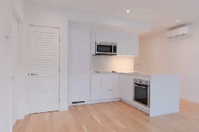 Newly Renovated one-bedroom apartment near UDEM - ID 852 Image# 1