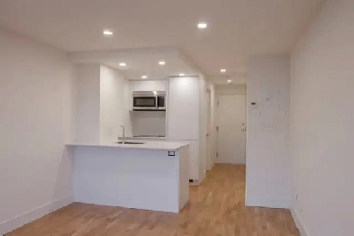 renovated studio apartment near McGill - ID 2013 Image# 1